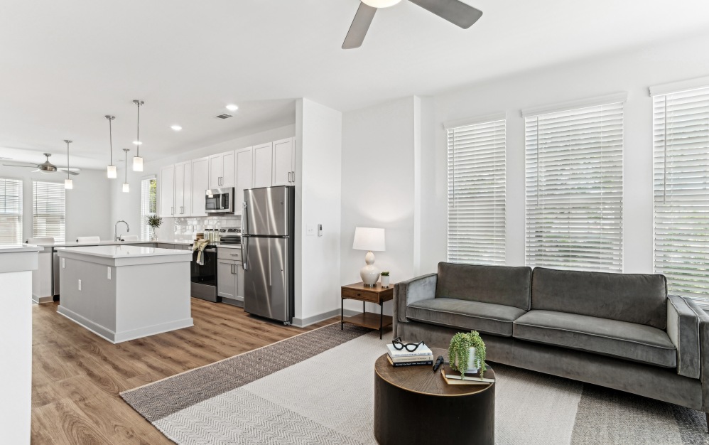 Abundant Natural Light In Living Room & Kitchen